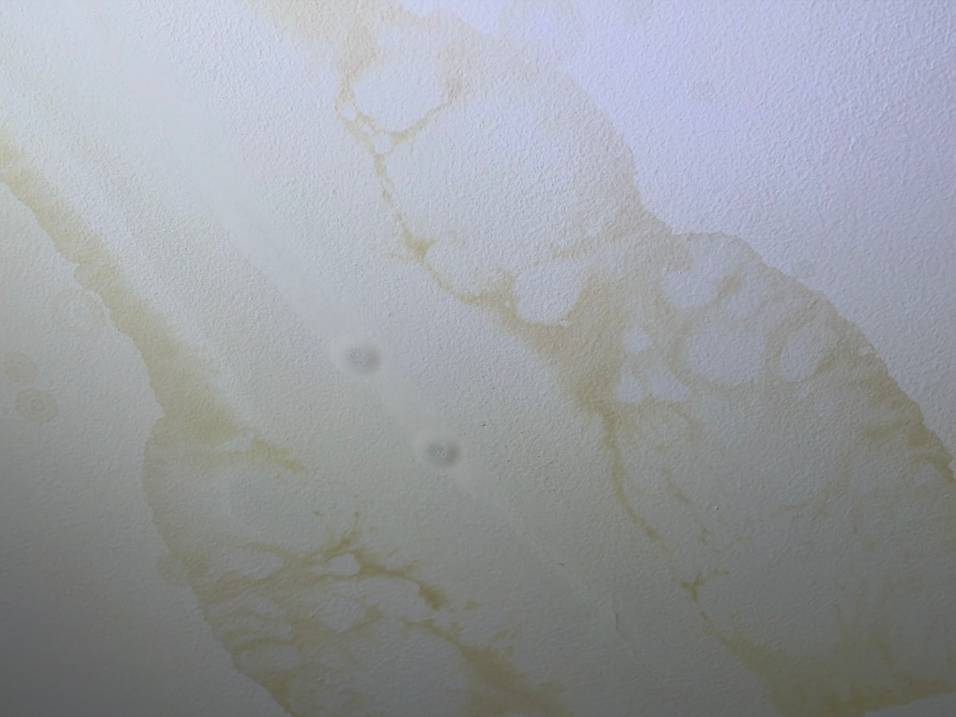Water stain spreading across a ceiling